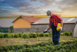 190320-pesticides-california-chlorpyrifos-county-agriculture-commissioners-top1